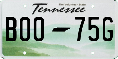 TN license plate B0075G