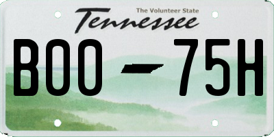 TN license plate B0075H