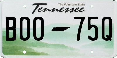 TN license plate B0075Q