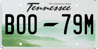 TN license plate B0079M