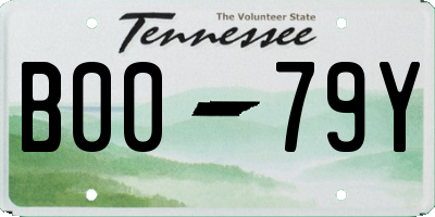 TN license plate B0079Y