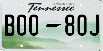 TN license plate B0080J