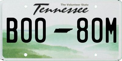 TN license plate B0080M