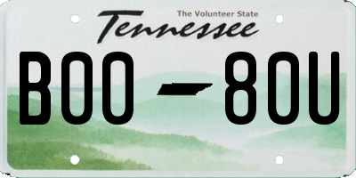 TN license plate B0080U