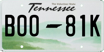 TN license plate B0081K