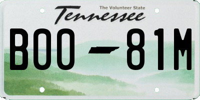 TN license plate B0081M