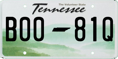 TN license plate B0081Q