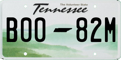 TN license plate B0082M