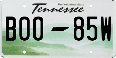TN license plate B0085W