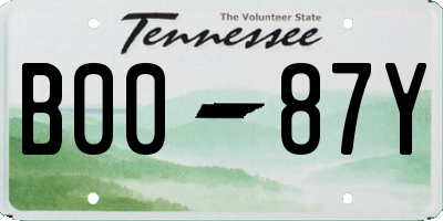 TN license plate B0087Y