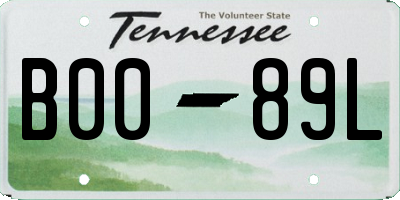 TN license plate B0089L