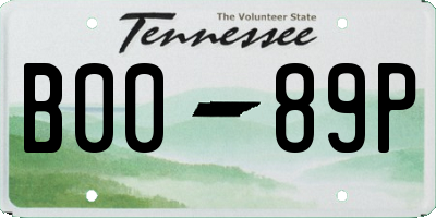 TN license plate B0089P