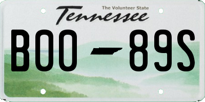 TN license plate B0089S