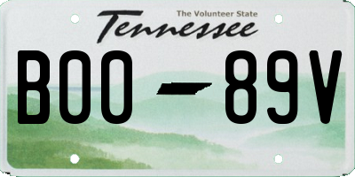 TN license plate B0089V