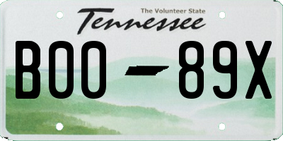 TN license plate B0089X