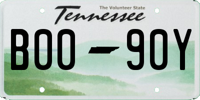 TN license plate B0090Y