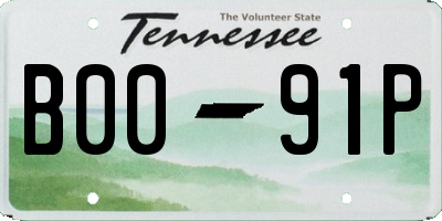 TN license plate B0091P