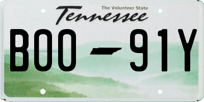 TN license plate B0091Y
