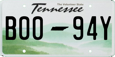 TN license plate B0094Y