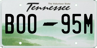 TN license plate B0095M