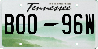 TN license plate B0096W
