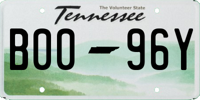 TN license plate B0096Y