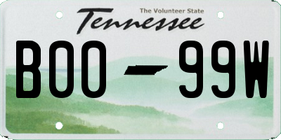 TN license plate B0099W