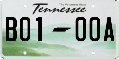TN license plate B0100A