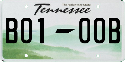 TN license plate B0100B
