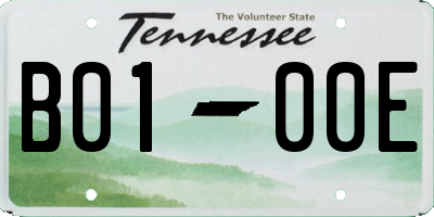 TN license plate B0100E
