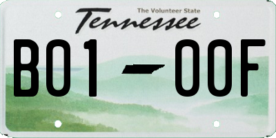 TN license plate B0100F