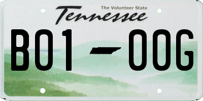 TN license plate B0100G
