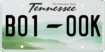 TN license plate B0100K