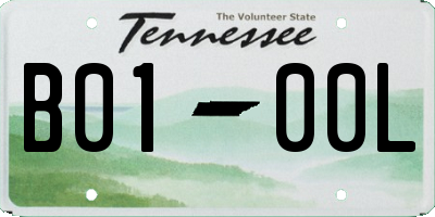TN license plate B0100L