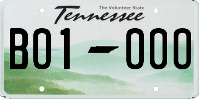 TN license plate B0100O