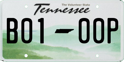 TN license plate B0100P