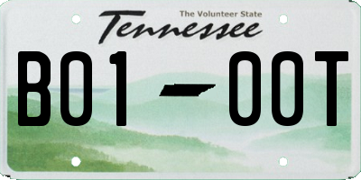 TN license plate B0100T