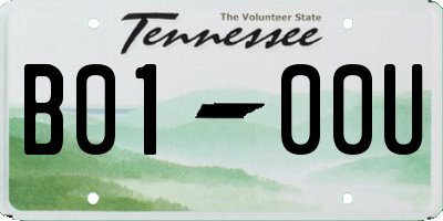 TN license plate B0100U