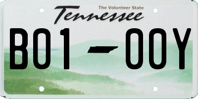 TN license plate B0100Y