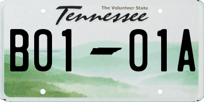 TN license plate B0101A
