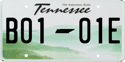 TN license plate B0101E