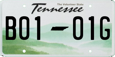 TN license plate B0101G