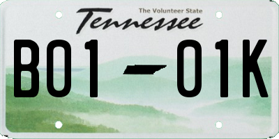 TN license plate B0101K