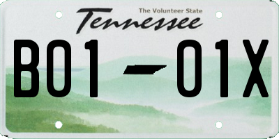 TN license plate B0101X