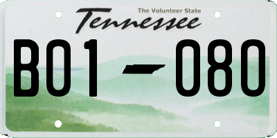 TN license plate B0108O
