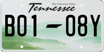 TN license plate B0108Y