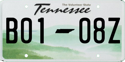 TN license plate B0108Z