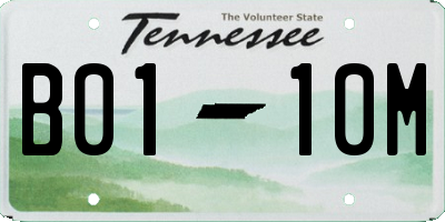 TN license plate B0110M