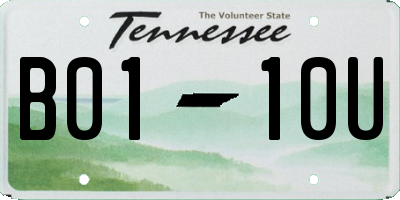 TN license plate B0110U