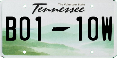 TN license plate B0110W